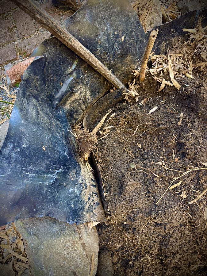 Excavation showing three overlapping layers of black bamboo barrier, a digging bar and a cut bamboo culm between them
